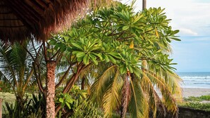 Een tropische tuin met palmbomen en een overdekte structuur met rieten dak.