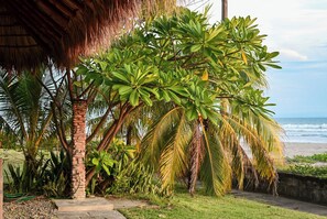 Property grounds - Surfari Charters Beach House – Guasacate, Popoyo, Nicaragua (Guasacate)
