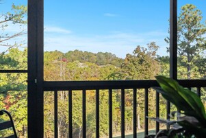 Vista desde la habitación