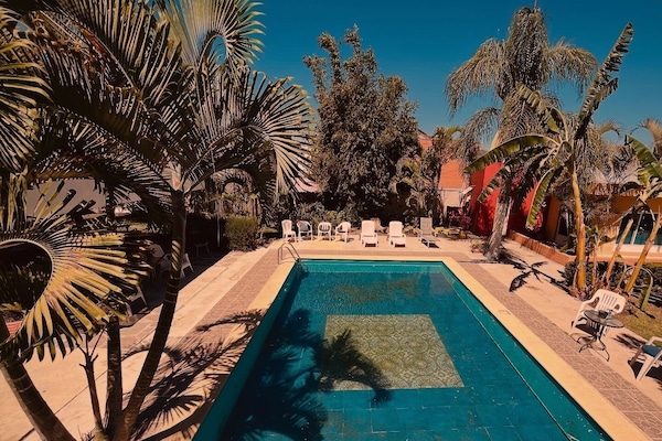 Outdoor pool, open 8:00 AM to 8:30 PM, pool umbrellas, sun loungers