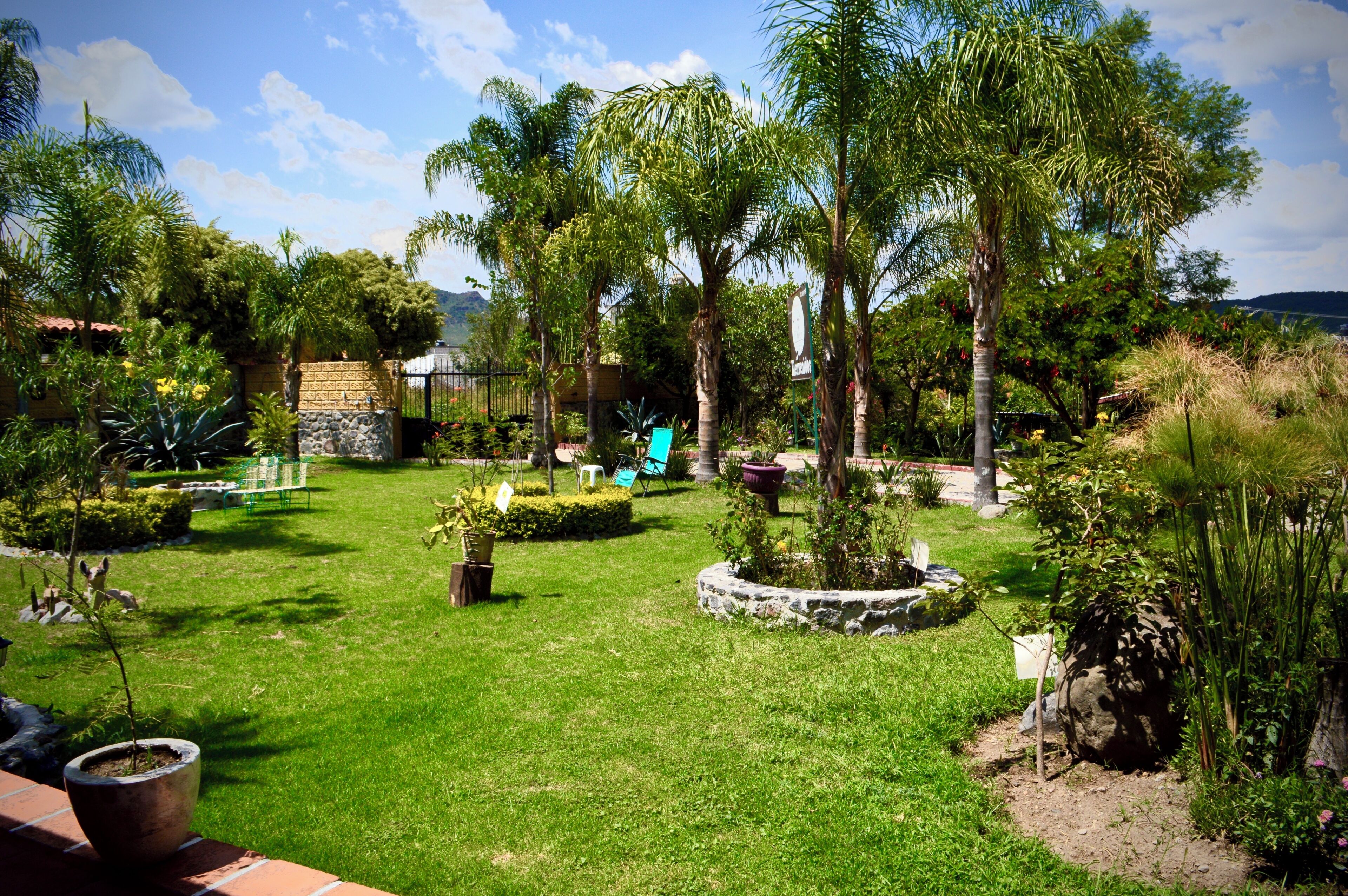 Junior Room, Garden View | View from room