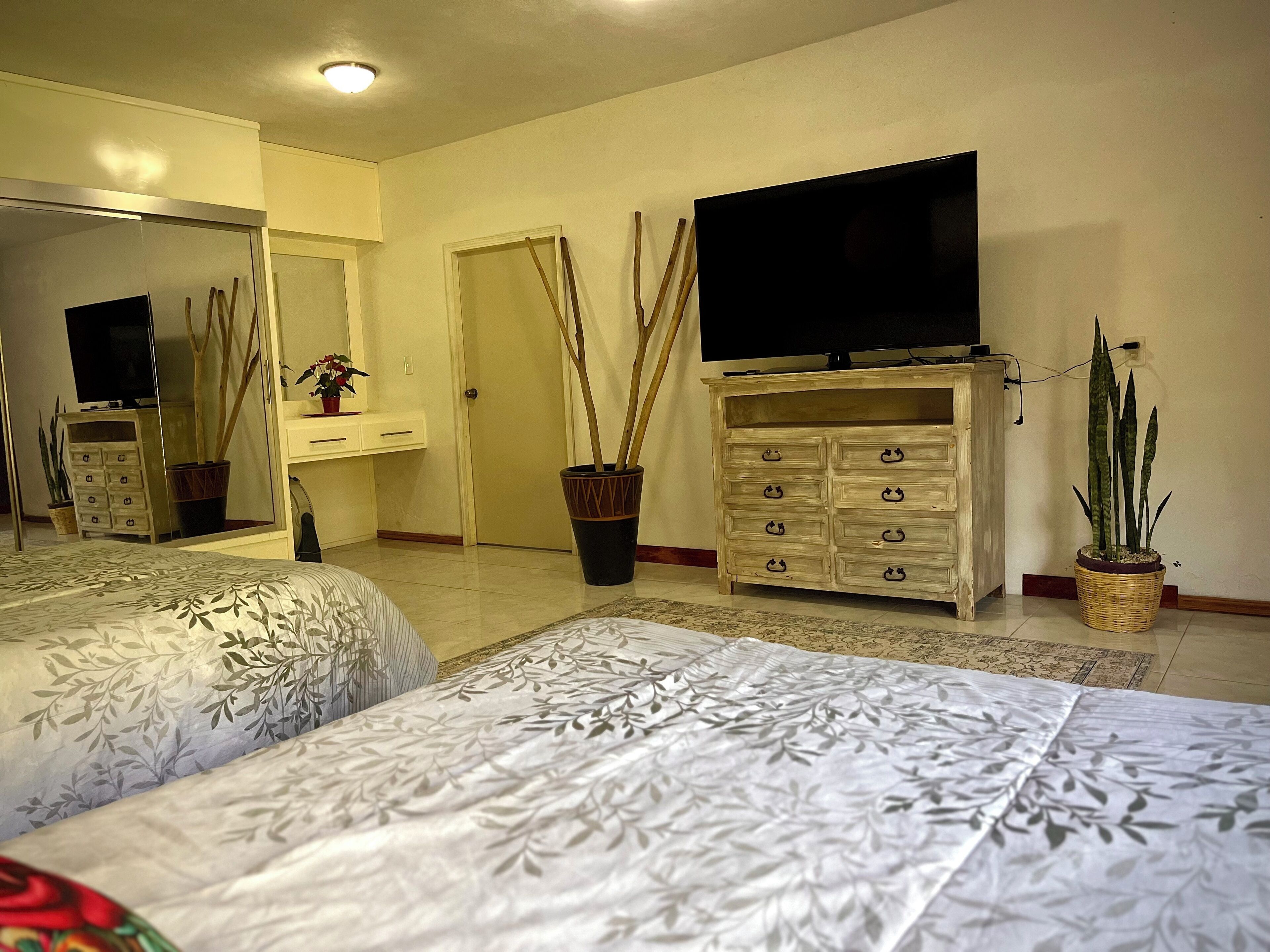 A hotel room with two beds, a television, a dresser, and a potted plant.