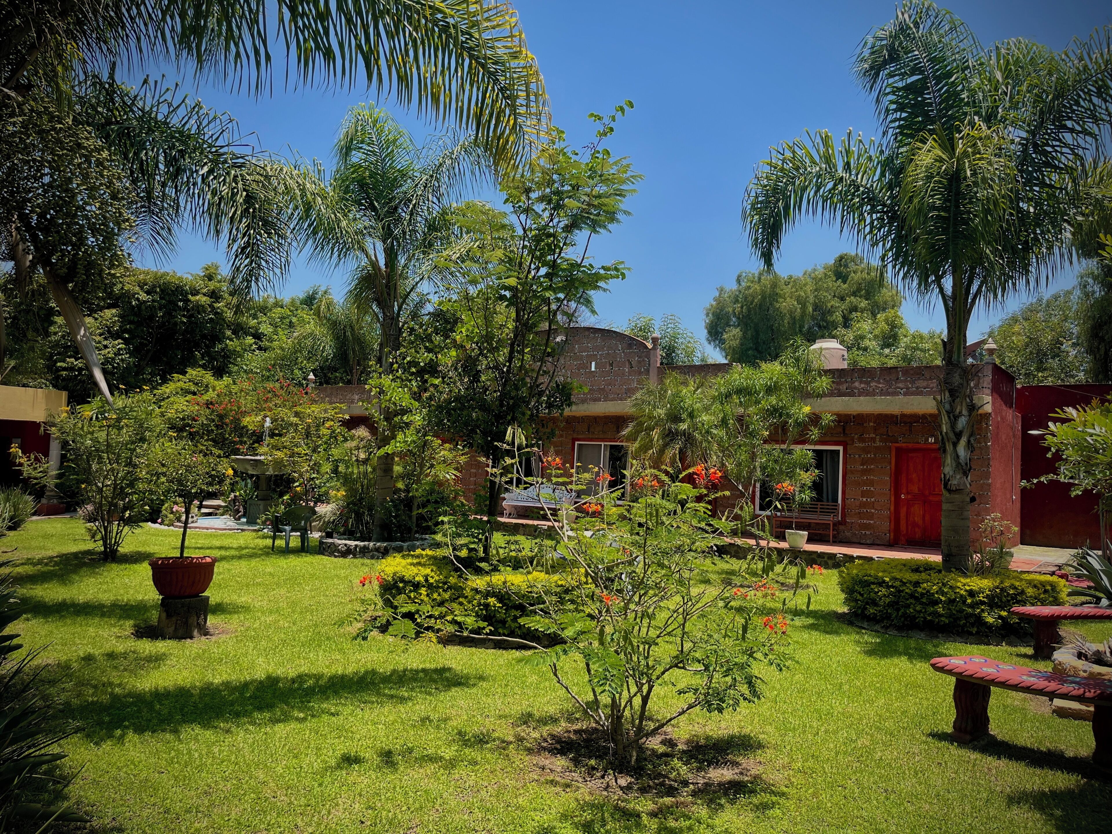 Un patio con una fuente, palmeras y un edificio de ladrillo con puertas rojas.