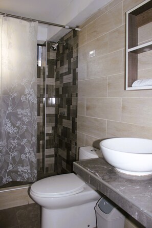 Hair dryer, towels, shampoo, toilet paper