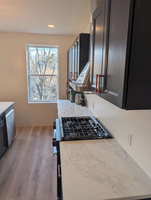 Cocina moderna con estufa a gas, armarios de acero inoxidable y ventana con vista a árboles.
