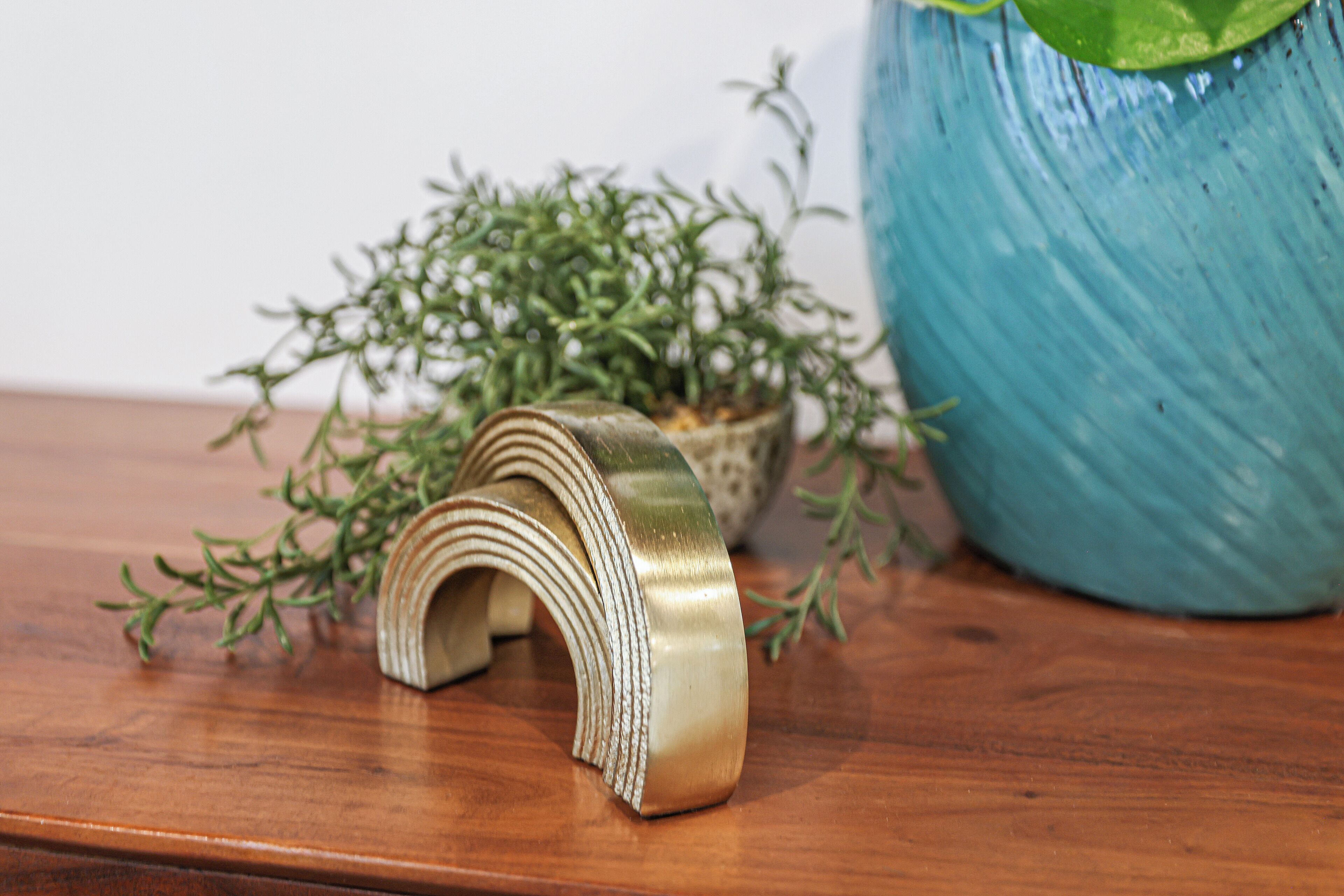 A wooden surface with a rolled-up object and a potted plant.