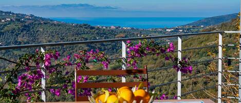 A table with a bowl of fruit and a chair, overlooking a coastal landscape with houses and hills.