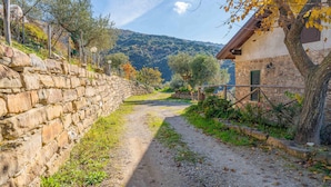 A stone-walled path leading to a rustic stone building with a wooden fence and a tree with yellow leaves.