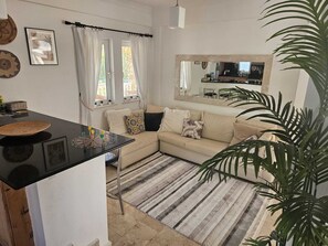 Smart TV, fireplace, books, stereo