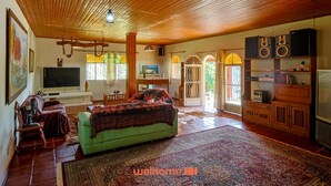 A spacious living room with a wooden ceiling, a green sofa, a television, and a sound system.