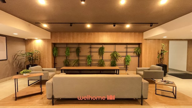 Un área de espera moderna con un sofá, dos sillones, una mesita de centro y un jarrón de plantas colgante.