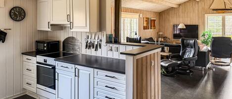 Fridge, stovetop, dishwasher, cookware/dishes/utensils