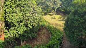Ein üppiger Garten mit vielfältigen Pflanzen und einem gewundenen Pfad.