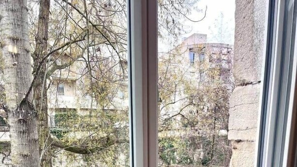 A window with a metal railing overlooking a river and trees. - Le loft sur rivière (Dijon)