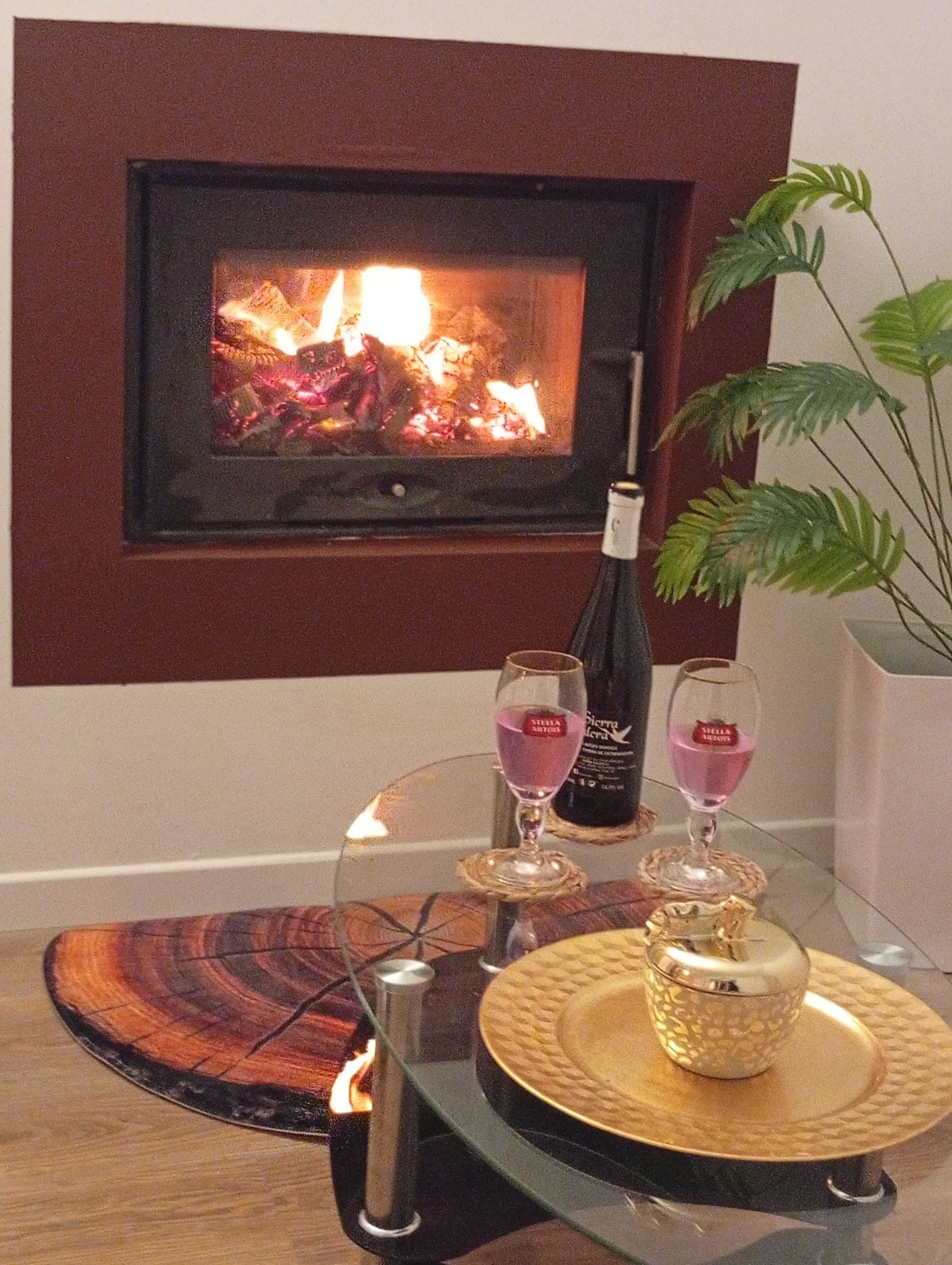 Ein gemütliches Zimmer mit Kamin, einem Glastisch mit Weingläsern und einer Flasche sowie einer Topfpflanze.
