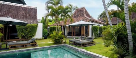 A swimming pool with lounge chairs and umbrellas, surrounded by greenery and palm trees.
