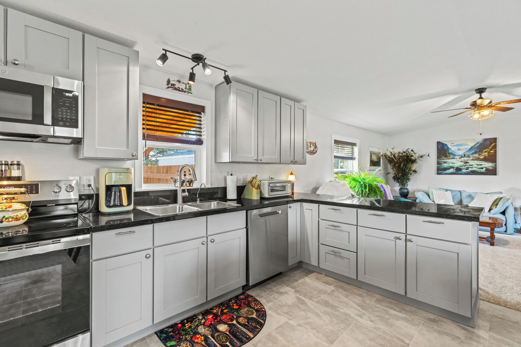 Microwave, oven, stovetop, dishwasher