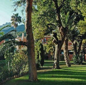 Terrein van de accommodatie