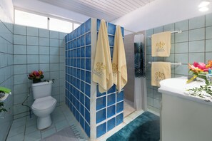 House | Bathroom
