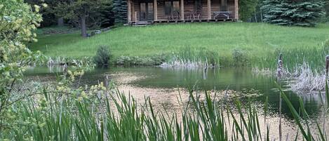 A rustic log cabin with a metal roof, surrounded by a pond and dense greenery.