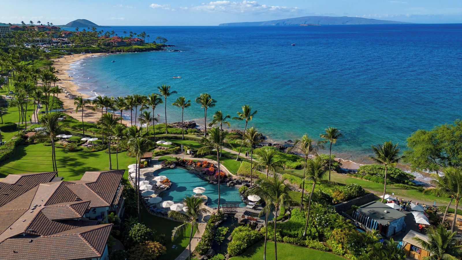 Un resort con piscina, palmeras y playa.