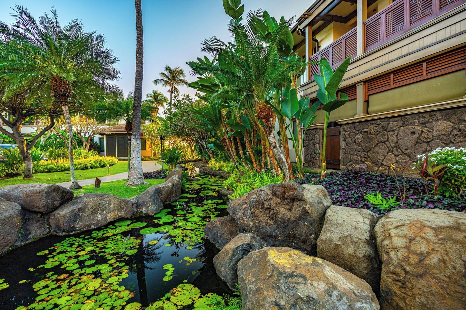 A landscaped garden with a pond, rocks, and tropical plants.