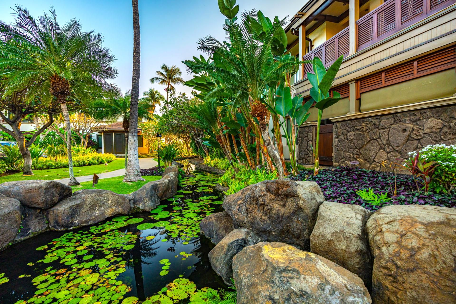 Un jardin tropical avec un étang, de gros rochers et différentes plantes tropicales.