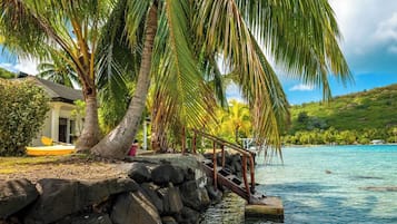 House, Sea View | Property grounds