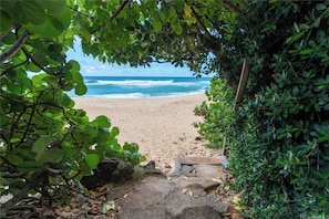 Beach nearby - Just steps from world-class surf, golden beaches, and stunning sunsets. (Haleiwa)