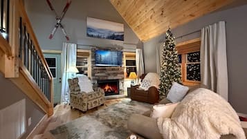 智能电视、壁炉、DVD 播放器、书