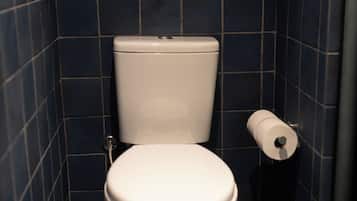 A small, dark blue tiled bathroom with a white toilet and a single roll of toilet paper.