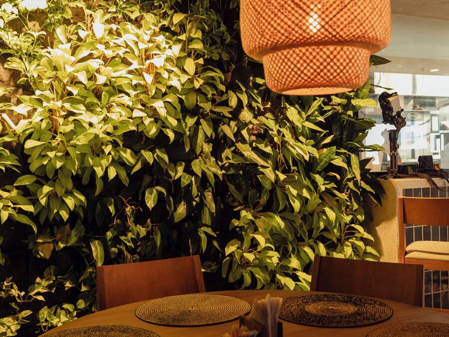 A dining area with a round table, woven placemats, and a wall of green foliage.