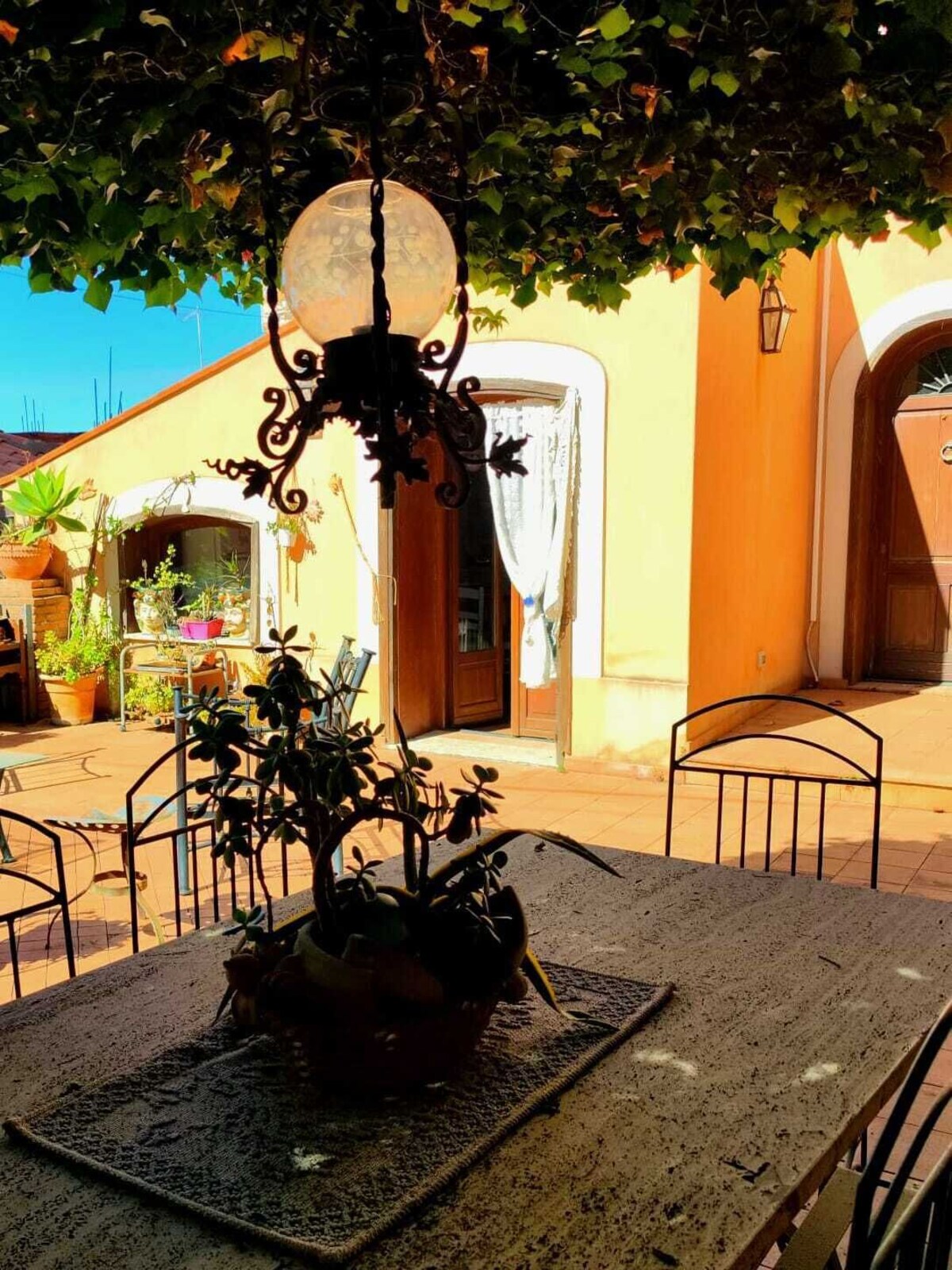 Image de profil de l’hôte