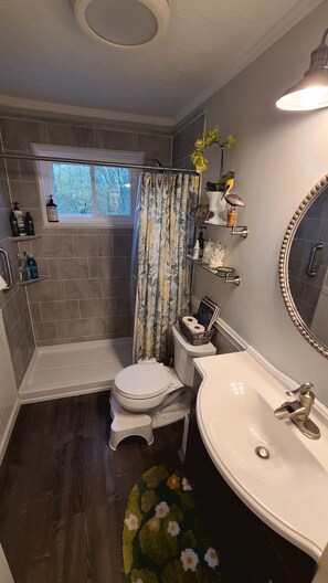 Shower, hair dryer, bidet, towels
