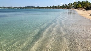 Una spiaggia con acque cristalline e poco profonde, una battigia sabbiosa e una fila di palme sullo sfondo.