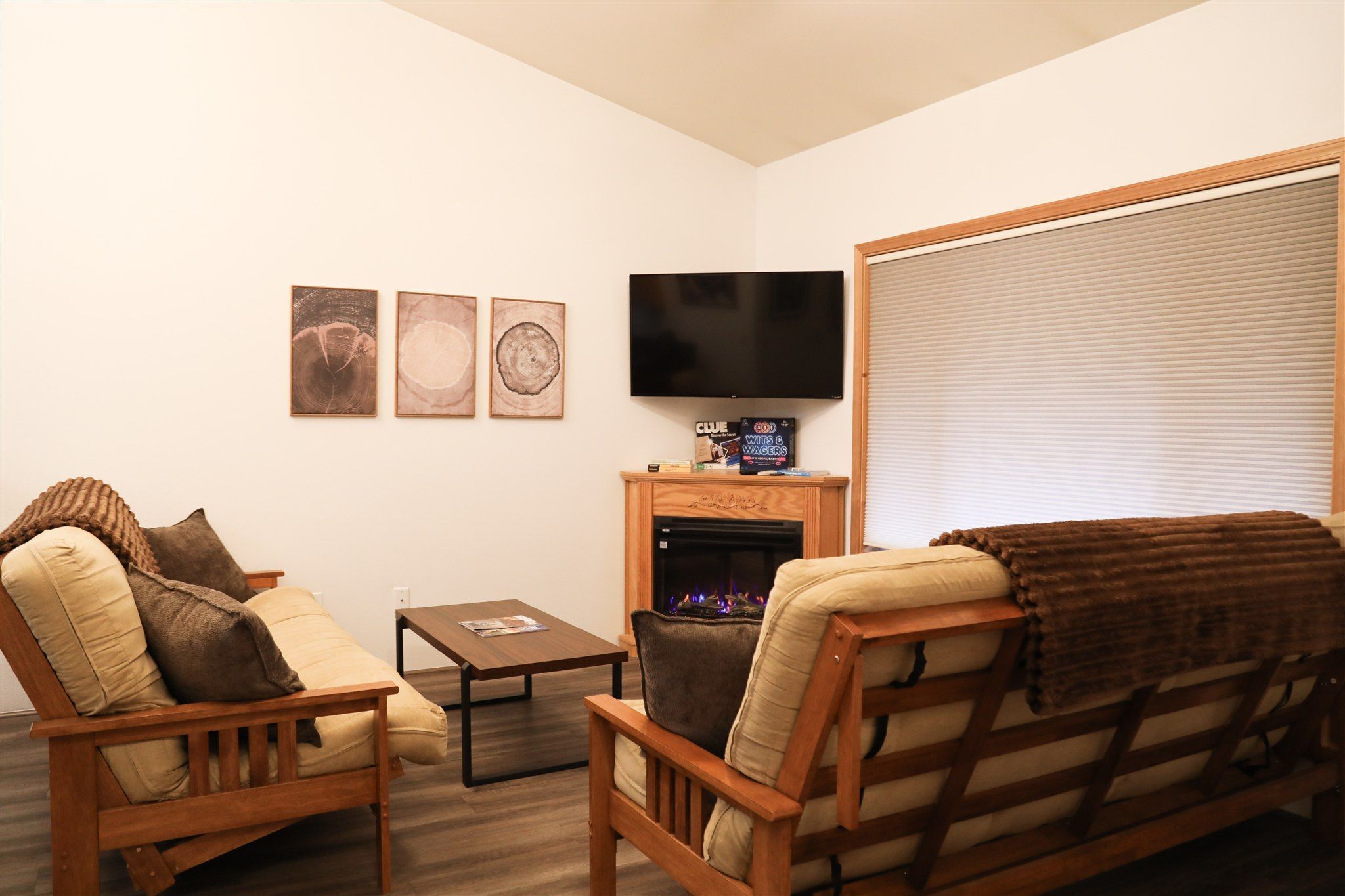 TV, fireplace, books