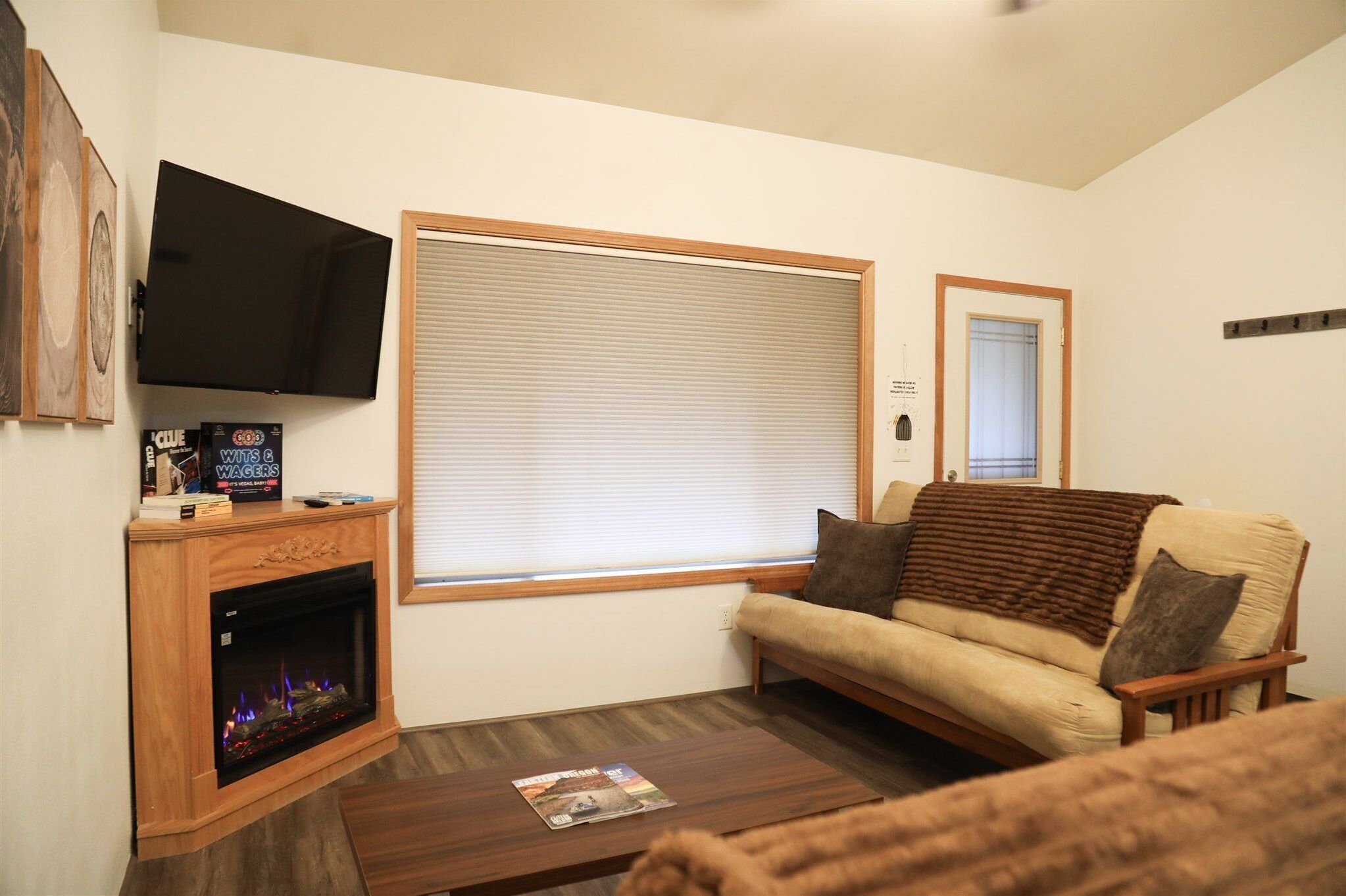 TV, fireplace, books