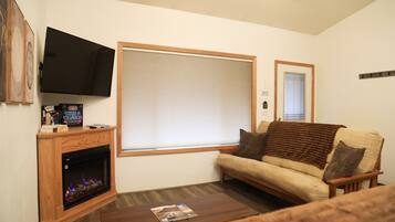 TV, fireplace, books