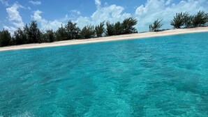 Un mar turquesa y transparente con una playa arenosa y árboles densos al fondo.