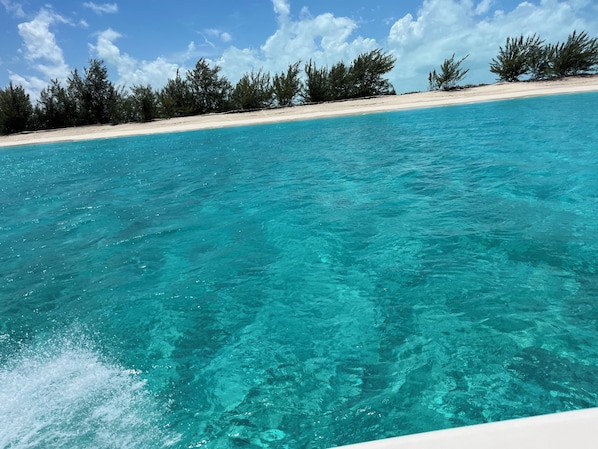 Beach - Ocean Breeze Resort Suite 116 - 2-bedroom Hotel Suites, Pool, Gym and Restaurant (Whitby)