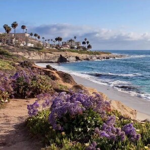 On the beach - Partial ocean views, A/C, steps to tide pools (San Diego)