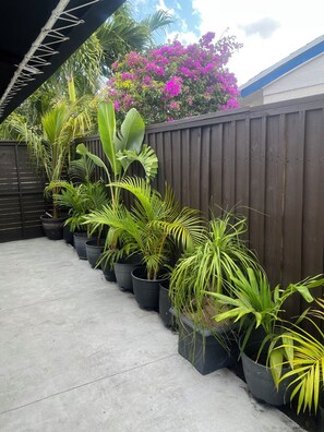 Property grounds - Cozy studio in a soothing spot with refreshing AC (North Miami Beach)