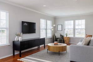 TV - Austin East Side Charmer: 3BR, Firepit, Outdoor Fun (Austin)