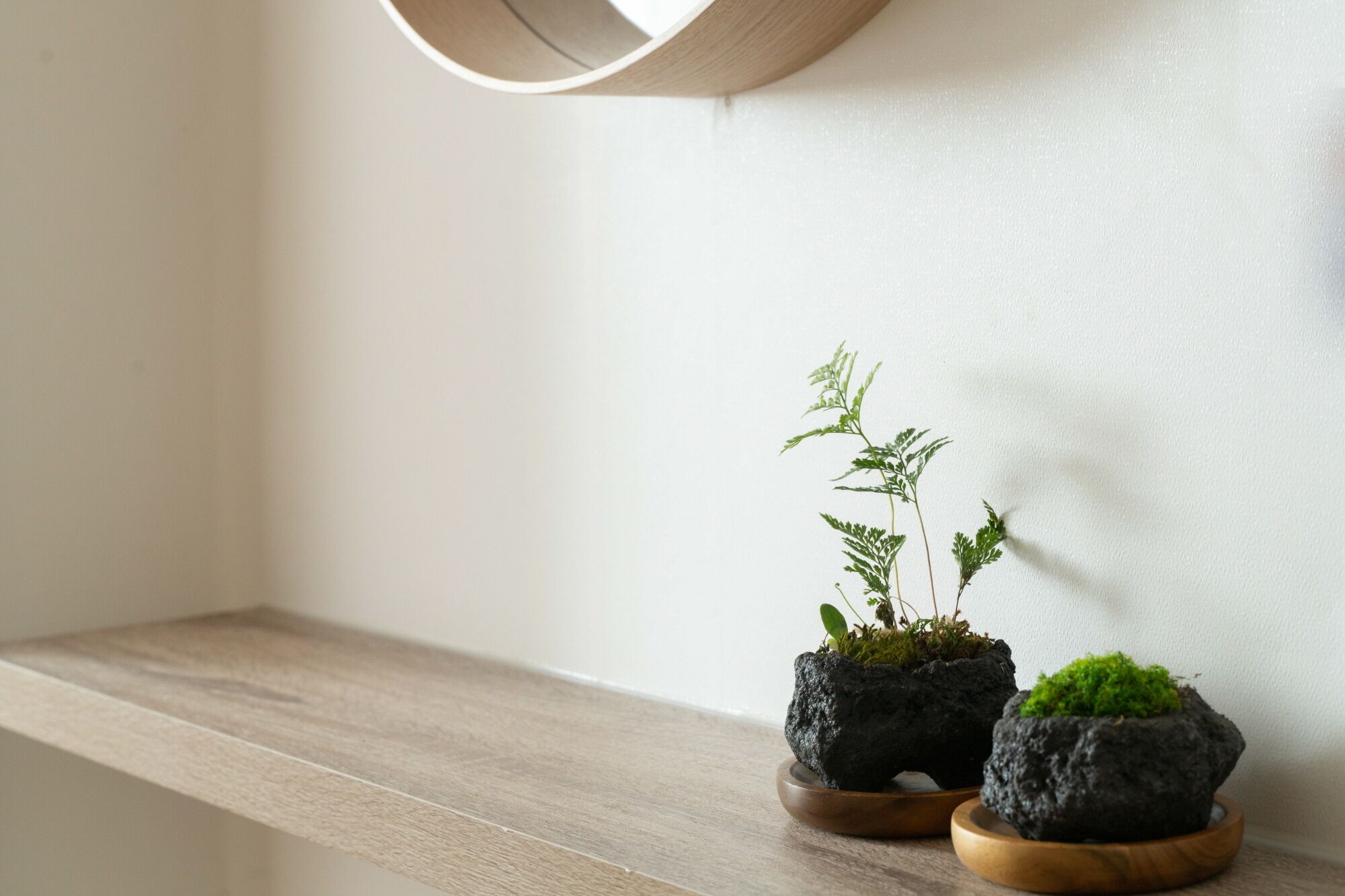 Uma prateleira de madeira com duas plantas em vasos sobre pedriscos escuros.