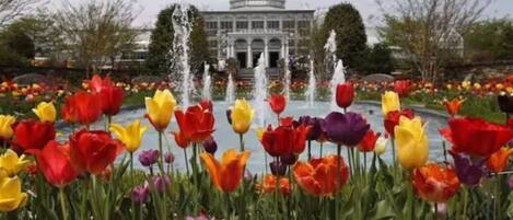 Outdoor banquet area