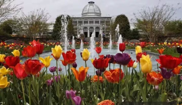 Outdoor banquet area