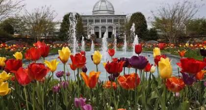 The Divine Cottage: Woodsy Hideaway!