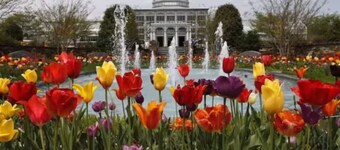 The Divine Cottage: Woodsy Hideaway!