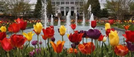 Overnatningsstedets område