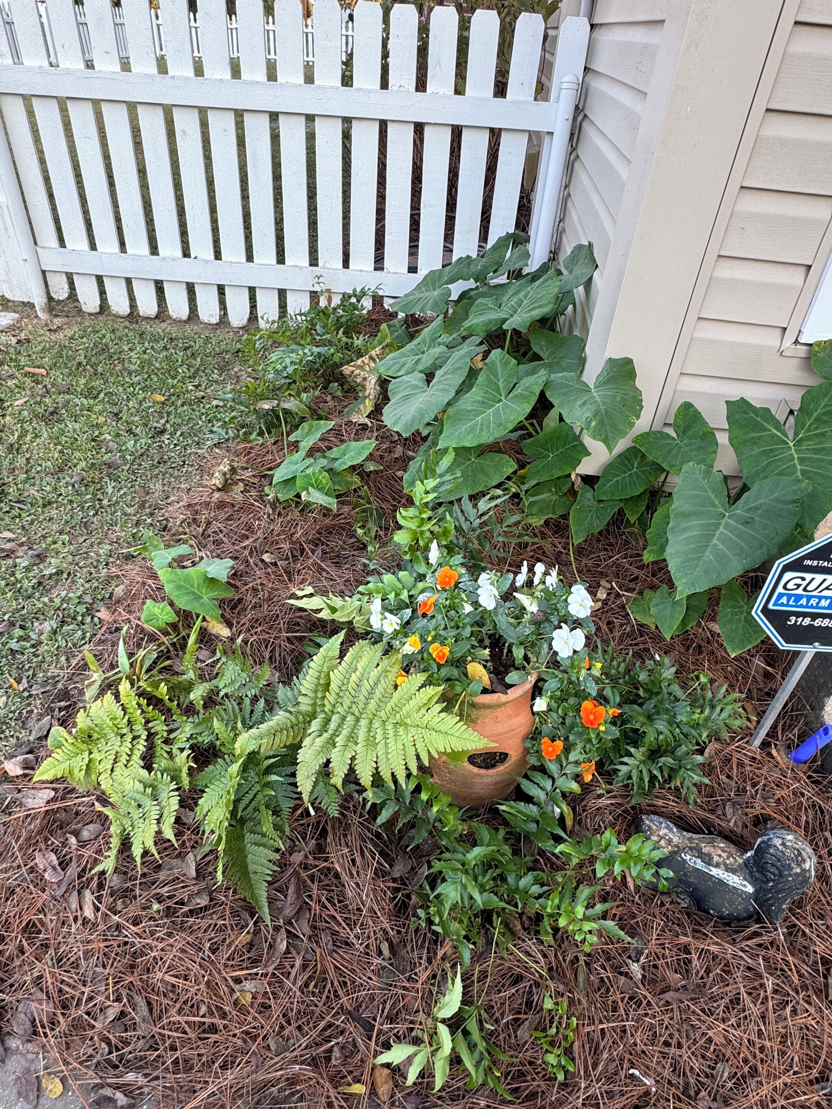Enceinte de l’hébergement